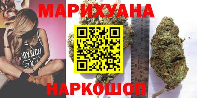 прущие грибы Камышлов