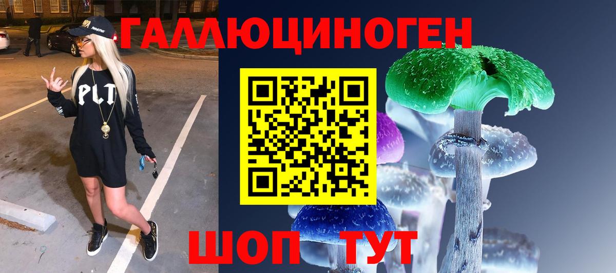 Можга  дарнет шоп  Вход с VPN  Псилоцибиновые грибы мицелий 