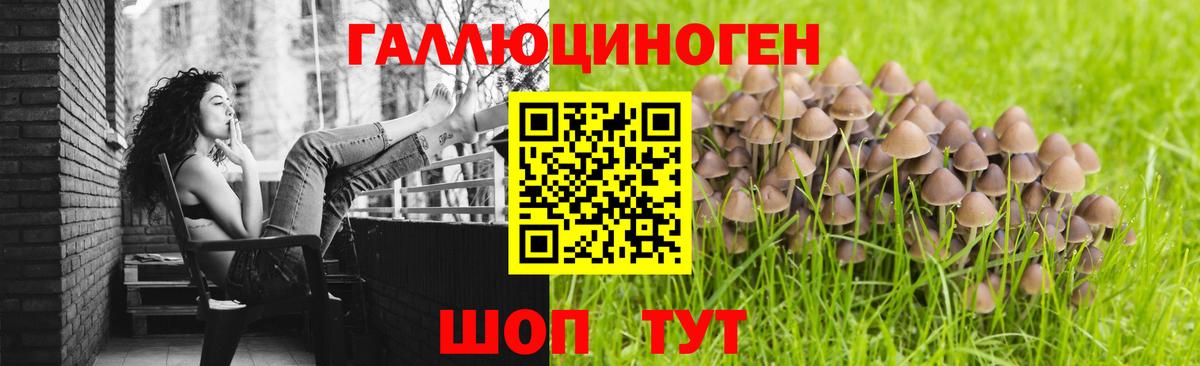 Галлюциногенные грибы прущие грибы  Можга 