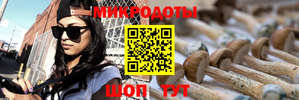 Псилоцибиновые грибы мухоморы Можга